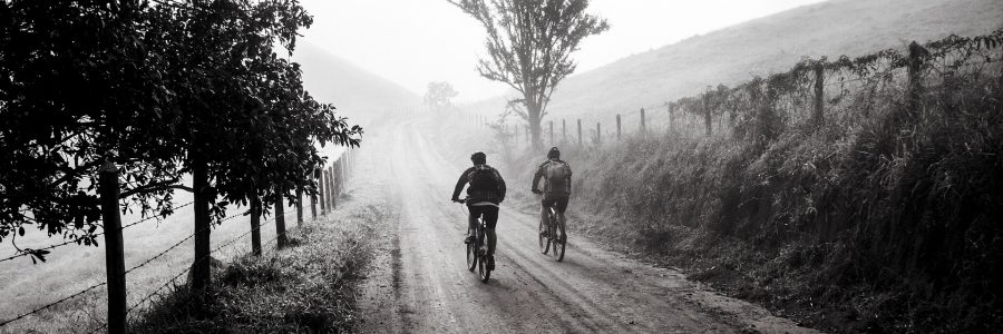 Bio-Bike Tour über 38 km ab Steinebach